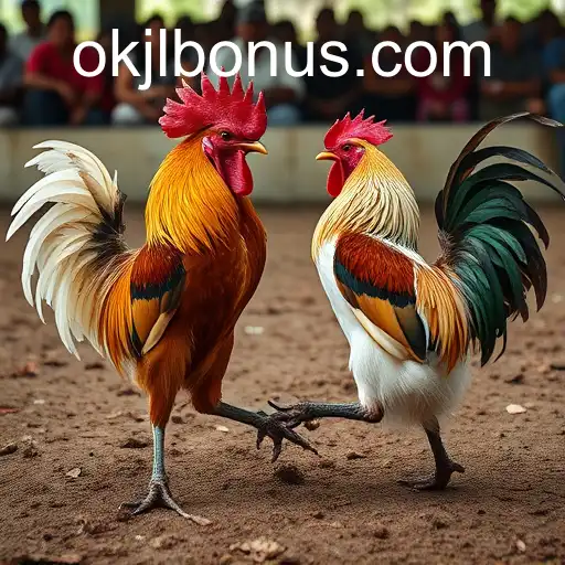 The Dynamics of Sabong Games: A Deep Dive into Cockfighting and its Modern Variant OKJL